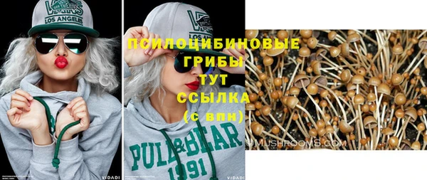 альфа пвп Михайлов