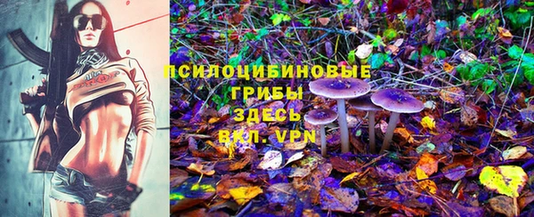 молекула духа Мегион