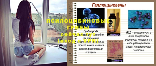 твердый Михайловка