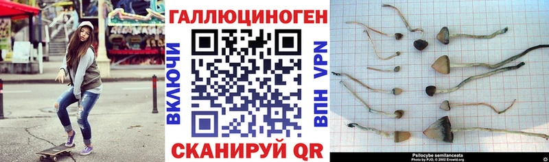 darknet формула  Чайковский  Псилоцибиновые грибы прущие грибы  магазин продажи наркотиков 