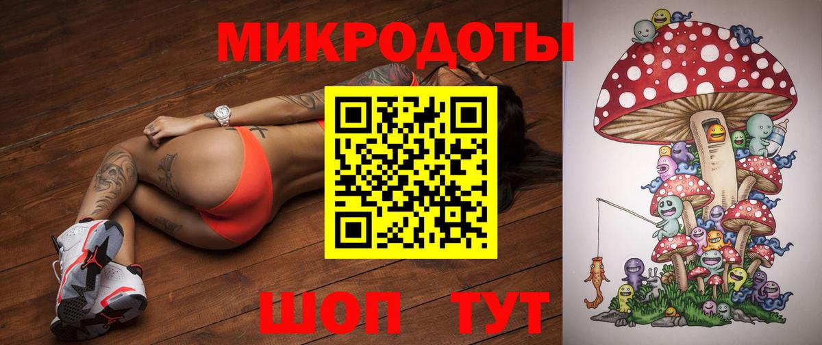 наркошоп  Чайковский  Галлюциногенные грибы Psilocybe 